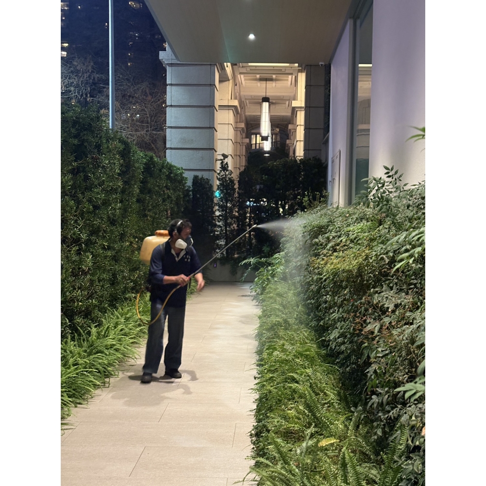 公司行號外圍消毒01.jpg